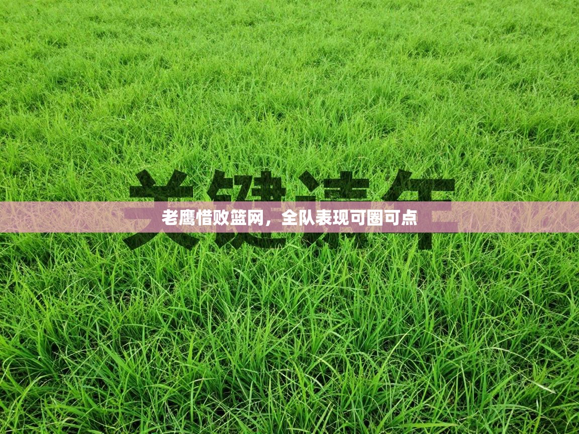 老鹰惜败篮网，全队表现可圈可点