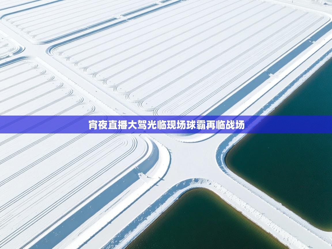 宵夜直播大驾光临现场球霸再临战场